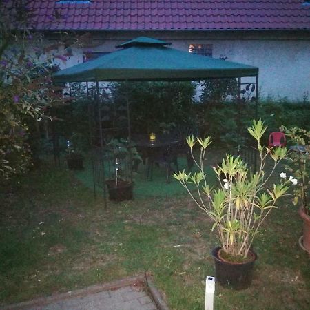 Ferienwohnung Am Finkenherd Dankerode  Екстериор снимка