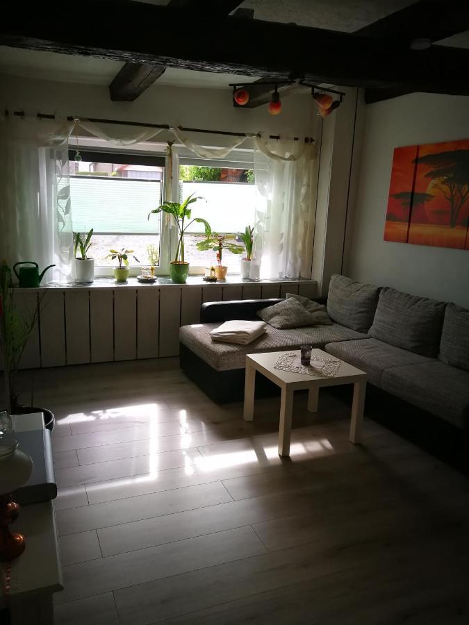 Ferienwohnung Am Finkenherd Dankerode  Екстериор снимка